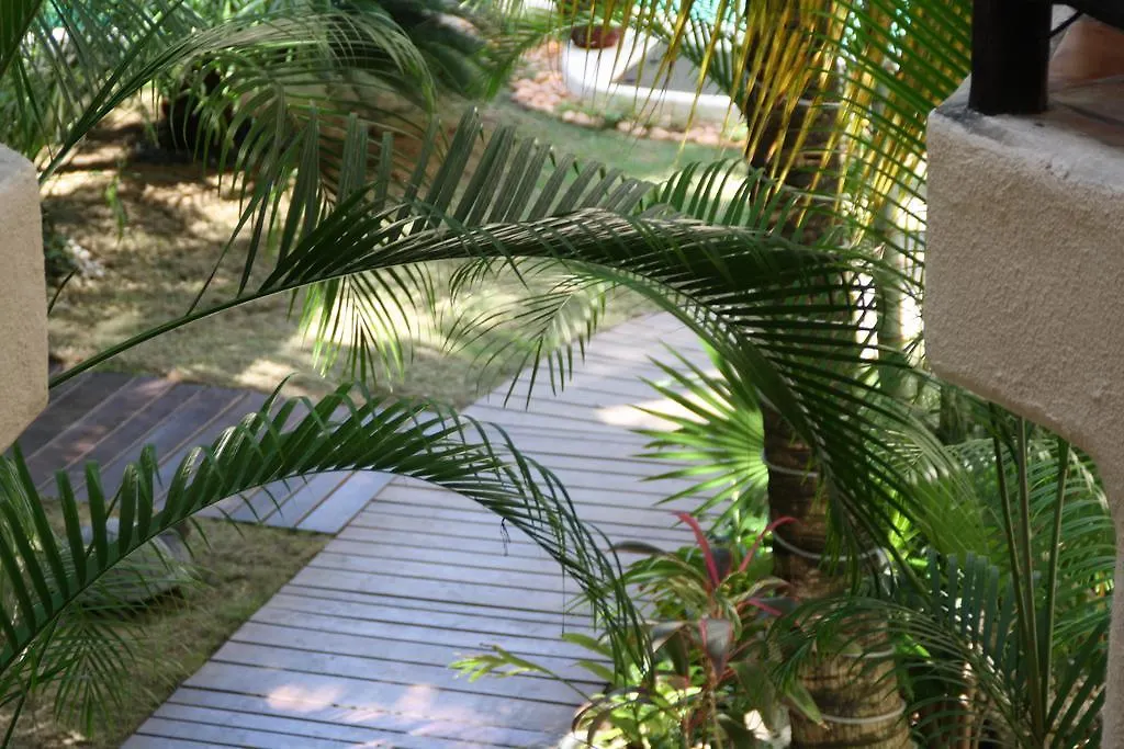 La Tortuga Hotel & Spa - Adults Only Playa del Carmen
